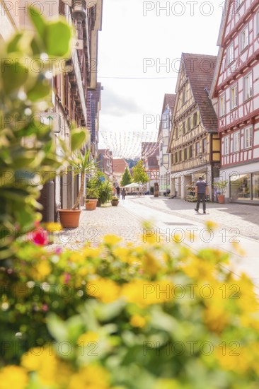 Flowers in the foreground and half-timbered houses along a sunny and inviting shopping street,