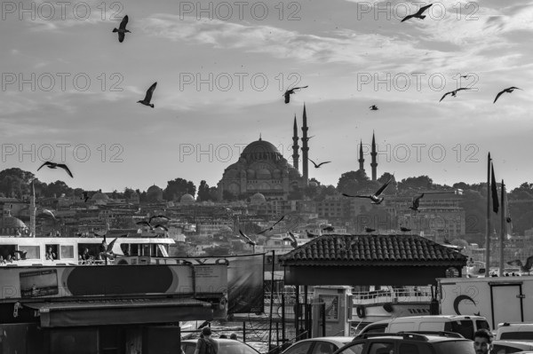 Scenic view of seagulls flying over the bosphorus strait with the suleymaniye mosque dominating the