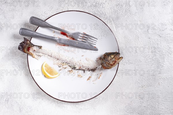The remains of fish on a plate with a fork and knife, the skeleton of a rainbow trout, after lunch,