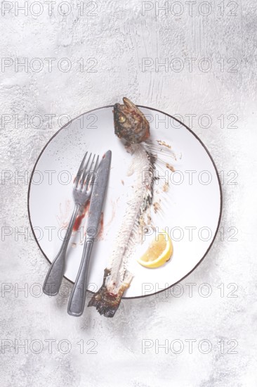 The remains of fish on a plate with a fork and knife, the skeleton of a rainbow trout, after lunch,