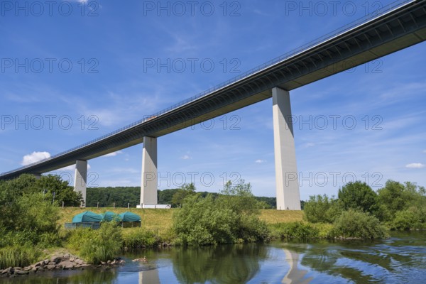 Motorway bridge A 52 over the Ruhr, from below, Nile geese with young on the water, Mülheim an der