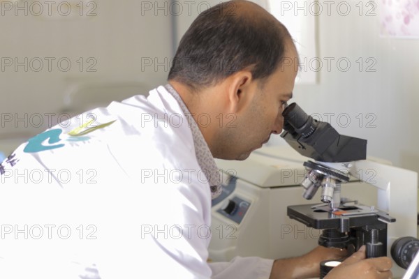 A laboratory technician analyzing blood samples using a microscope in a medical laboratory. Aleppo,