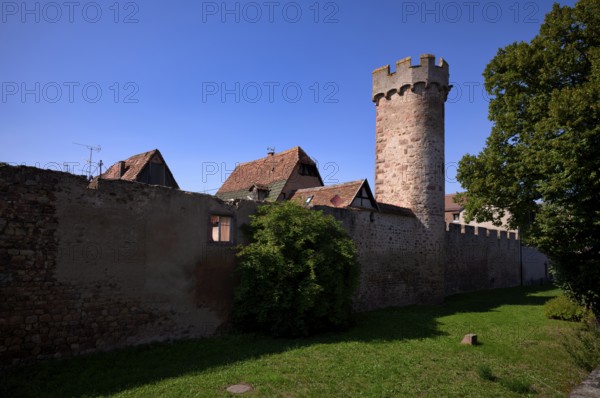 Historic city wall, defence defence tower, old town, Obernai, also Oberehnheim, Bas-Rhin,
