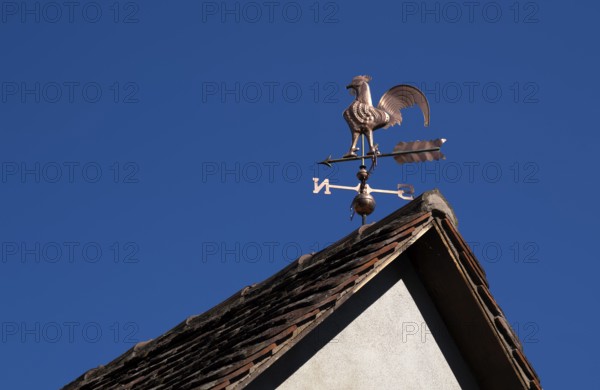 Weather vane, crowing weathercock on the roof of a house, gable, Obernai, also Oberehnheim,