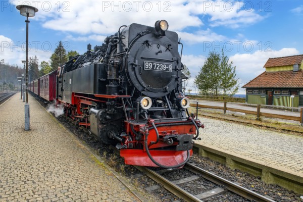 View of steam locomotive steam locomotive of Harz narrow-gauge railway narrow-gauge railway