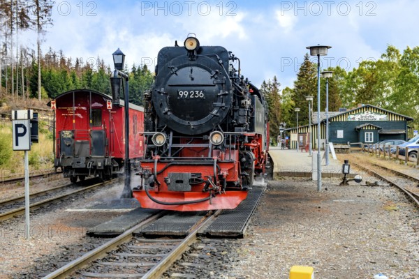 View of middle steam locomotive steam locomotive of Harz narrow-gauge railway narrow-gauge railway