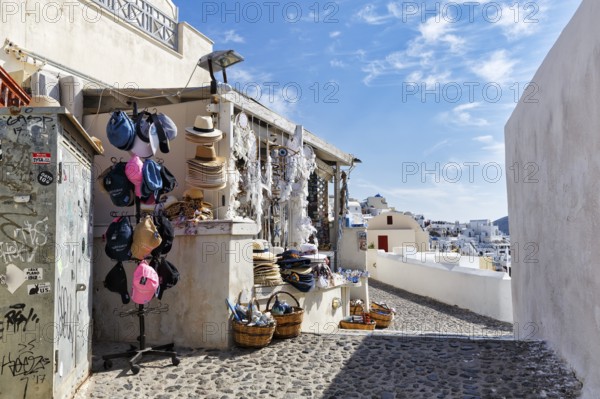 Souvenir shop in a narrow alley in the old town, Shopping, Cirrus, Oia, Thira, Santorini, Cyclades,