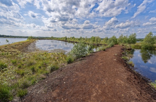 A drained peat path leads through the water areas in the Himmelmoor. Himmelmoor, the largest raised
