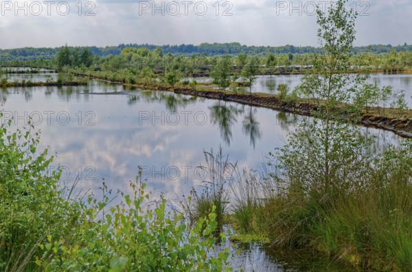 Dry peat paths separate the water areas in the Himmelmoor. Himmelmoor, the largest raised bog in