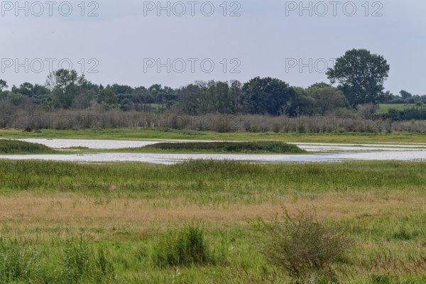 Heath, water areas, marshes, forests, salt marshes and dunes characterise the landscape in the