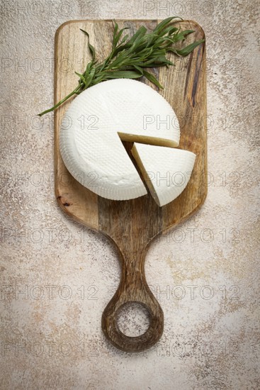 Head of Georgian cheese, Imereti variety, top view, on a cutting board