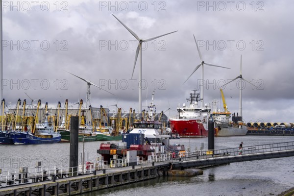 Working vessels in the seaport of Eemshaven, dredger Vitus Bering, aft, cable laying and offshore
