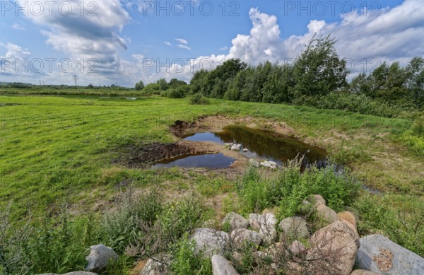 Landscape in the Wildes Moor nature reserve. The moor, an area in the district of