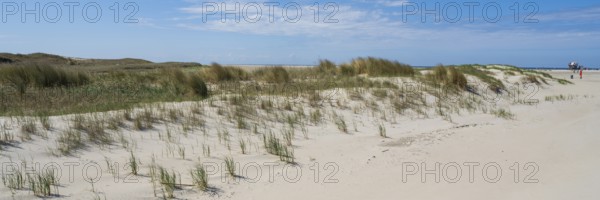 Dune landscape, sandy beach, panorama format, Sankt Peter Ording, Eiderstedt, North Frisia, North