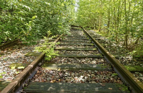 Rusty, overgrown tracks at the former Blumendorf railway station. Bad Oldesloe, Schleswig-Holstein,