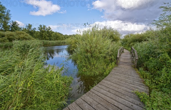 Footpath and bridge on the River Trave in Brenner Moor. The Brenner Moor is a salt moor, FFH area,