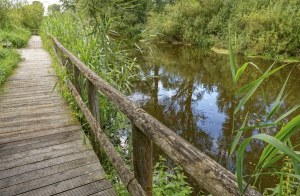 Footpath with wooden railings along the River Trave in Brenner Moor. The Brenner Moor is a salt