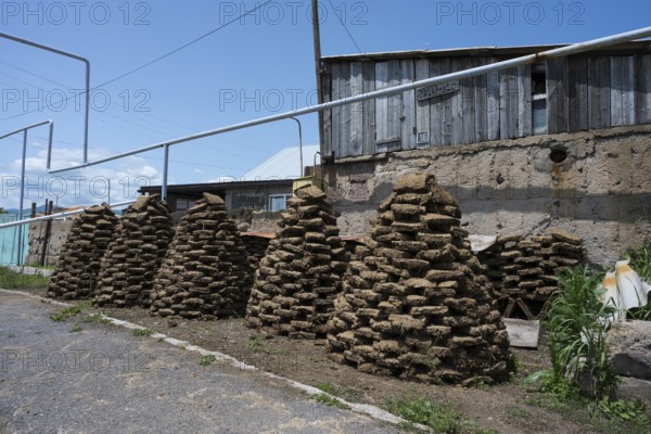 Stacked dried cow bricks in front of a wooden house under blue sky, near Sewan, Gegharkunik