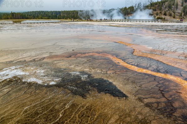 180819_371 Brown layered stratiform mats at the outer perimeter of the Grand Prismatic Spring in