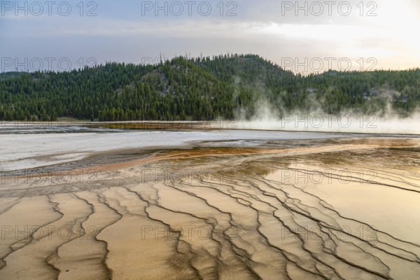 180819_355 Brown layered stratiform mats at the outer perimeter of the Grand Prismatic Spring in