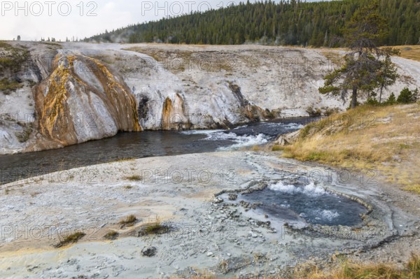 180818_044 Runoff from geysers and hot springs flows into the Firehole River in the Upper Geyser
