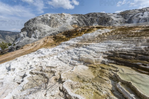 180822_221 Terraced pools of hot spring water at Mound Spring in the Mammoth Hot Springs area of