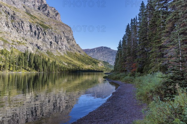 240831_124 Pine forest and rugged mountains along the shoreline of Lake Josephine in Glacier