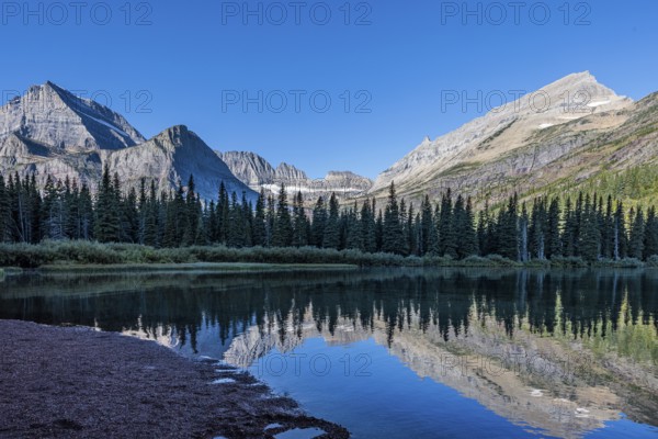 240831_115 Rugged mountains behind the pine forest along the Lake Josephine shoreline in Glacier