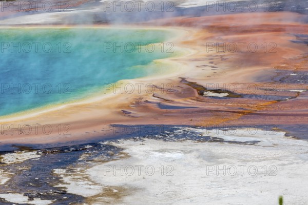 180823_028 Brown layered stratiform mats at the outer perimeter of the Grand Prismatic Spring in
