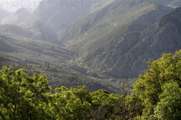 Valley in the countryside near the archaeological site of Delphi, UNESCO World Heritage Site in