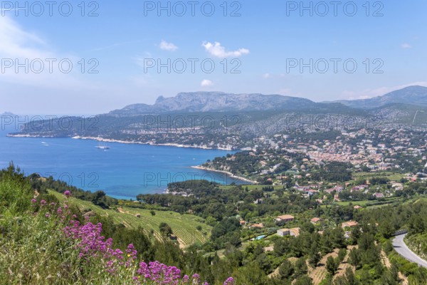 Coast and bay, cliffs, Falaises, Route de Crétes, Cassis, Provence-Alpes-Côte d'Azur, France