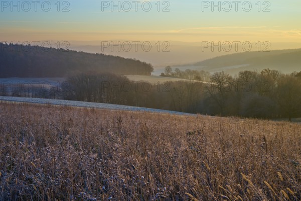 Frozen field with trees at dawn illuminated by the sun showing the silent beauty of nature,
