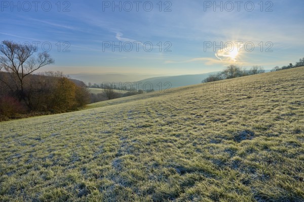 Frost covers a hill in sunrise light on a clear morning, Seckmauern, Lützelbach, Maintal, Odenwald,