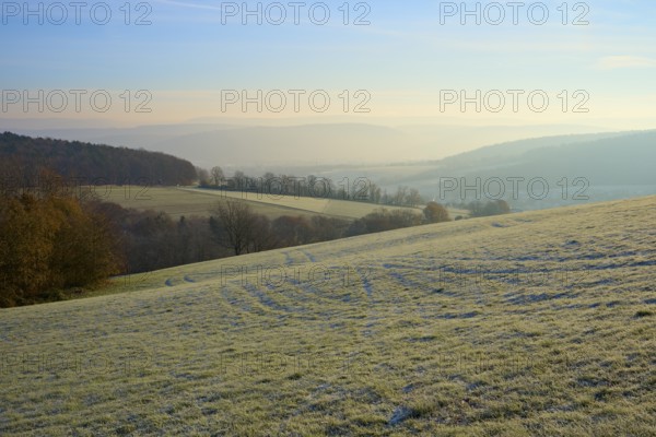 Morning fog hovers over a green, hilly landscape under clear skies, Seckmauern, Lützelbach,