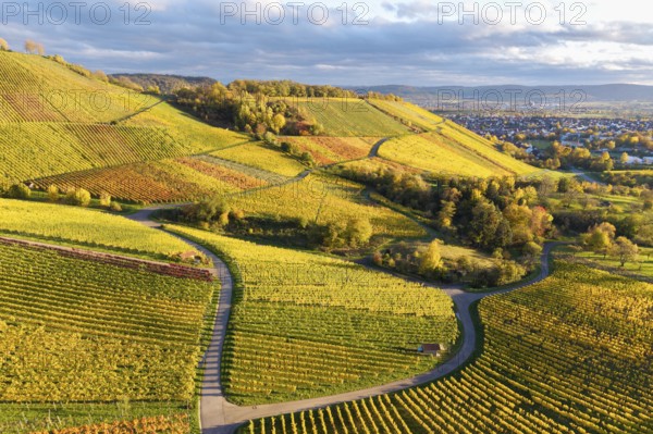 Extensive hilly landscape with vineyards in autumn colors and curved paths under cloudy sky,