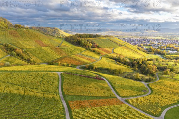 View of vineyards and a city on the horizon under a cloudy sky, autumn, near Korb im Remstal,