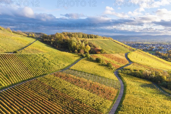 Colourful hilly landscape with extensive vineyards, crossed by paths under a cloudy sky and
