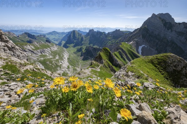View over Alpstein Mountains into the Meglisalp Valley, Rotstein Pass, Säntis, Appenzell,