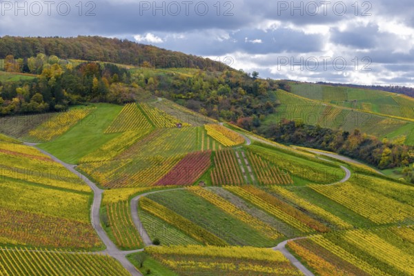Vivid colors of the vineyards with red-yellow patterns on hilly terrain under a cloudy sky, autumn,