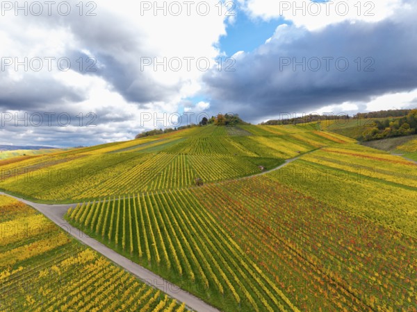 Golden and green vineyards under a dramatically cloudy sky in autumn, near Strümpfelbach im