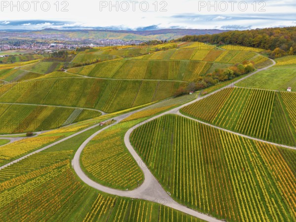 Chessboard-like, autumnal vineyards with winding paths under a cloudy sky, near Strümpfelbach im