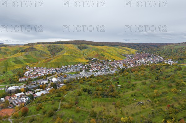 Colourful vineyards and a village in a vast, green autumn landscape, Strümpfelbach im Remstal,