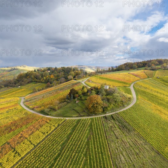 Landscape in autumn with vineyards and a winding road surrounded by colorful fields,