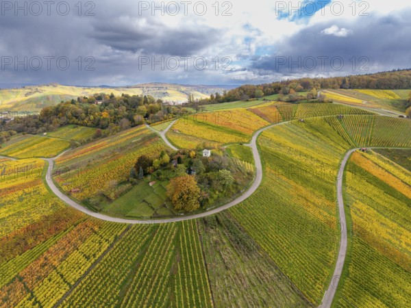 Colourful, curvy vineyards stretch across a range of hills under dramatic clouds, autumn,