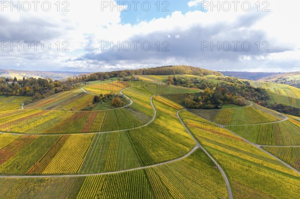 Hilly vineyards in vivid autumn colors under a partly cloudy sky, autumn, Schützenhüttle-Donkey,