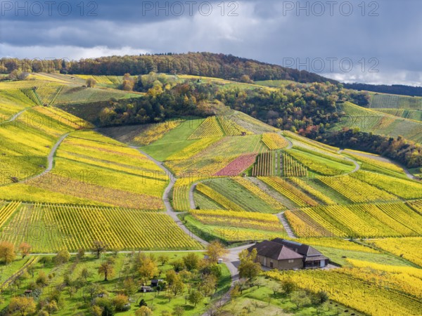 Hilly vineyards with a winepress, autumn colors contrasting with a cloudy sky, near Strümpfelbach