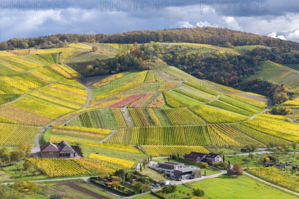 Hilly landscape with colorful vineyards and houses under a cloudy sky, autumn, wineries, wine