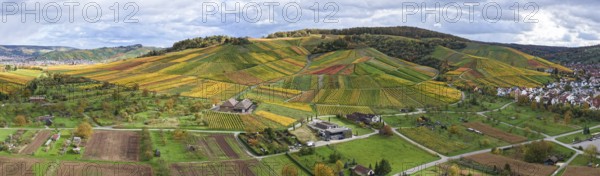 Landscape panorama of hilly vineyards with a village and cloudy sky, autumn, Strümpfelbach im