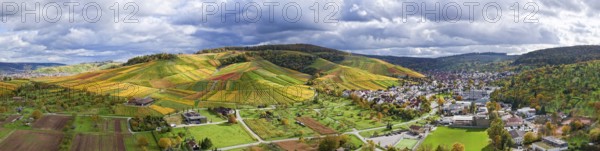 Extensive landscape of vineyards and village against a cloudy sky, autumn, Strümpfelbach im