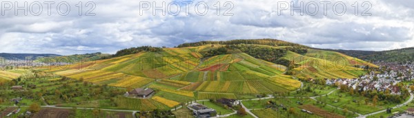 Extensive panoramic landscape of vineyards next to a small village under clouds, autumn,